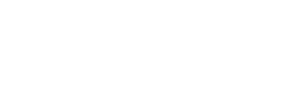BLUEBIRD SHISHAS