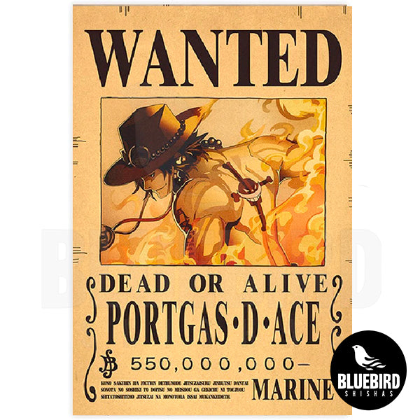 POSTER ONE PIECE WANTED COLECCIONABLE - PORTGAS DE ACE