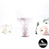 CAZOLETA - OLLA BOWLS - AIGLEUCOS BIANCA
